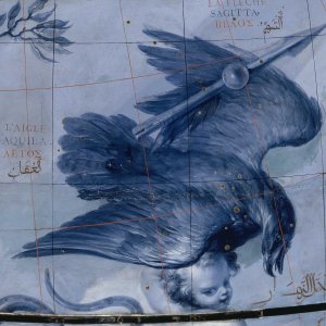 Globe céleste Coronelli - Constellation du corbeau